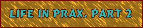 Life in Prax, part 2